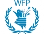 World Food Programme  logo