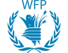 World Food Programme  logo