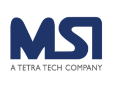 Management Systems International logo